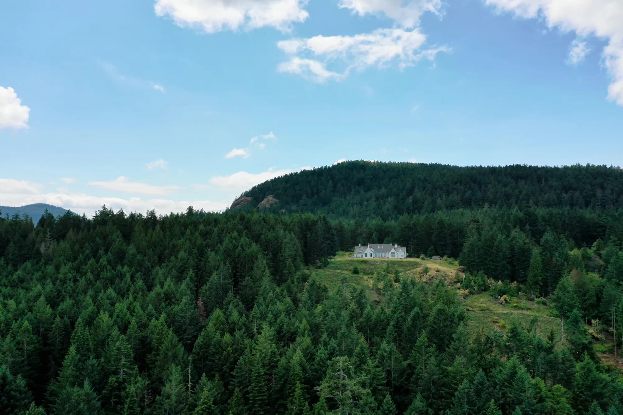 Aerial view of Salt Spring Island forest with house nestled among the trees