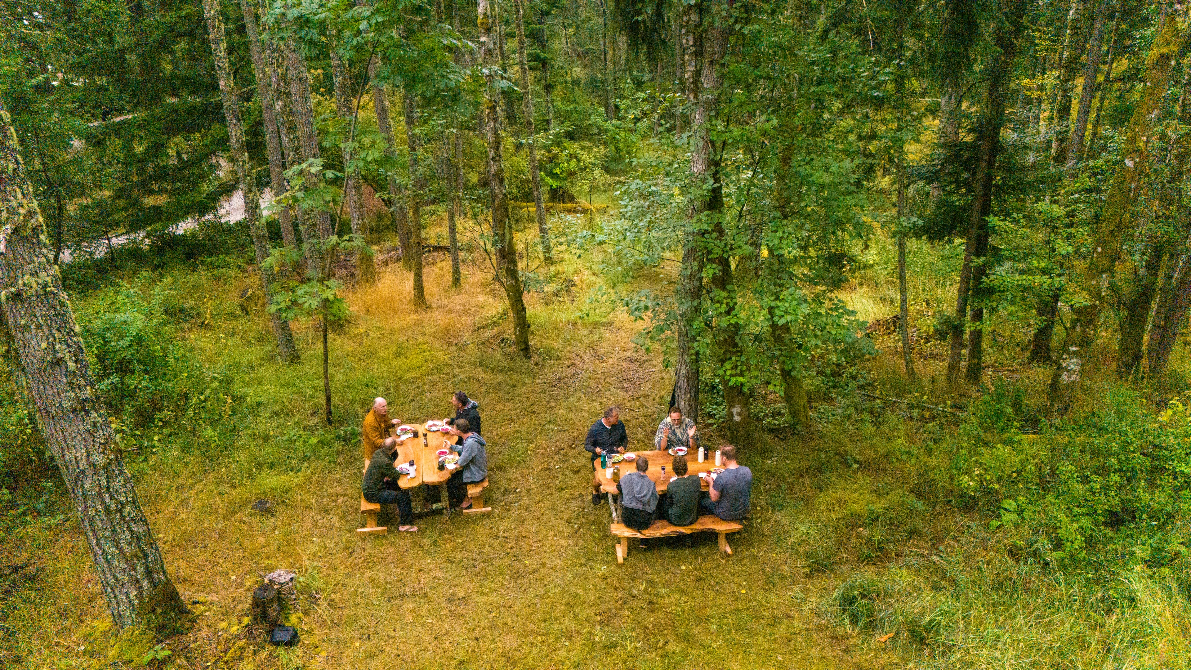 Retreat group dining in old-growth forest at Mt. Maxwell