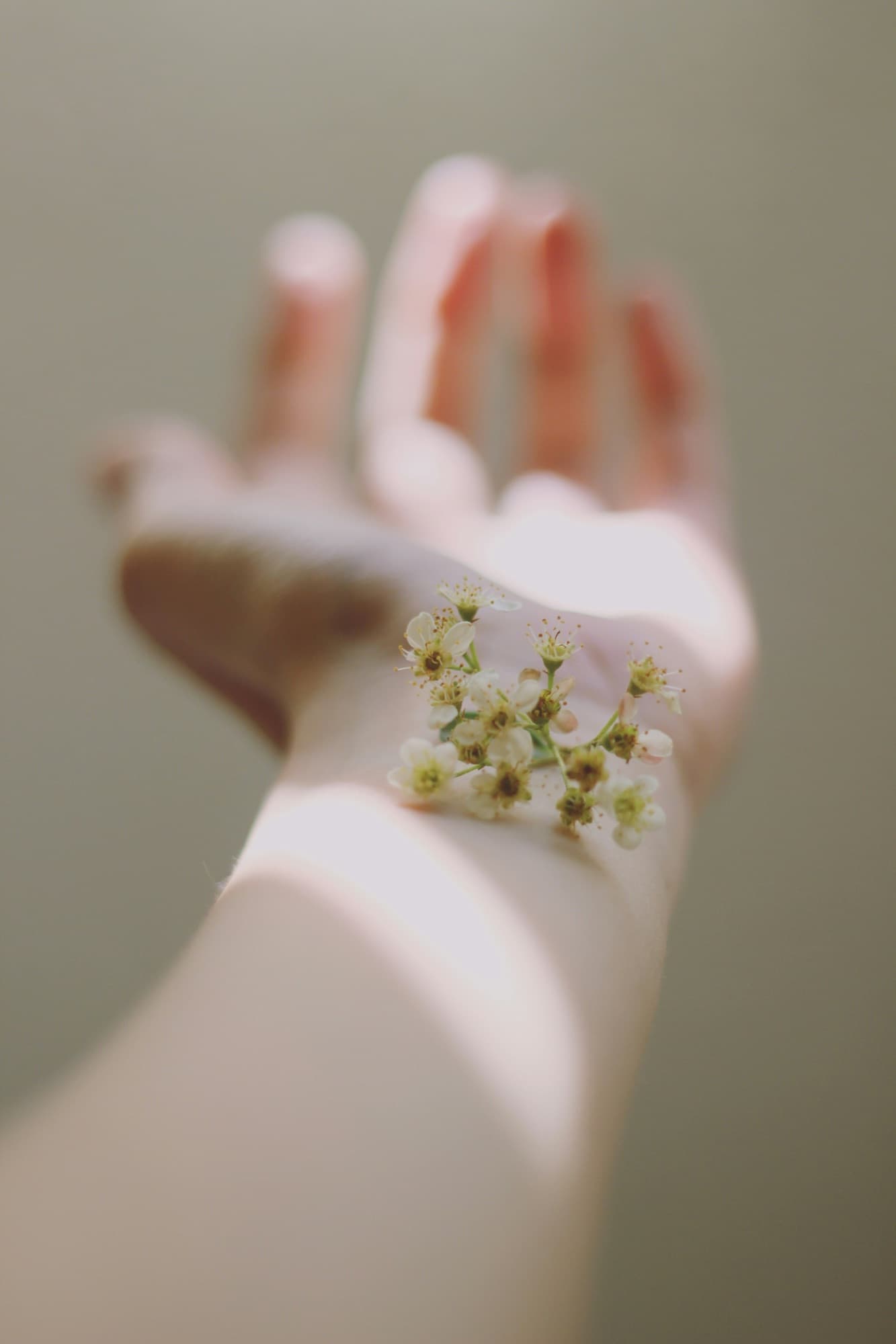 Hand with small white flowers resting on the wrist in soft light