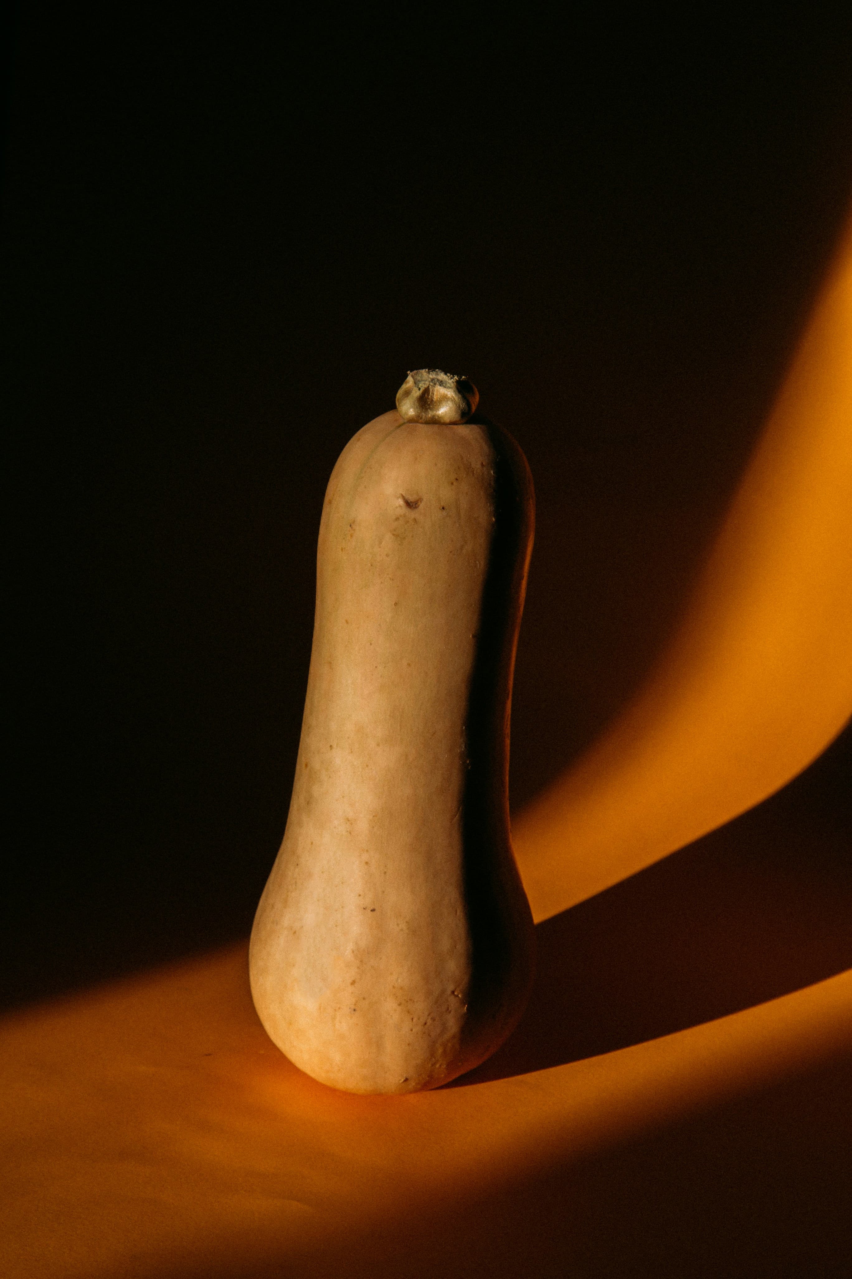 Butternut squash in warm dramatic light