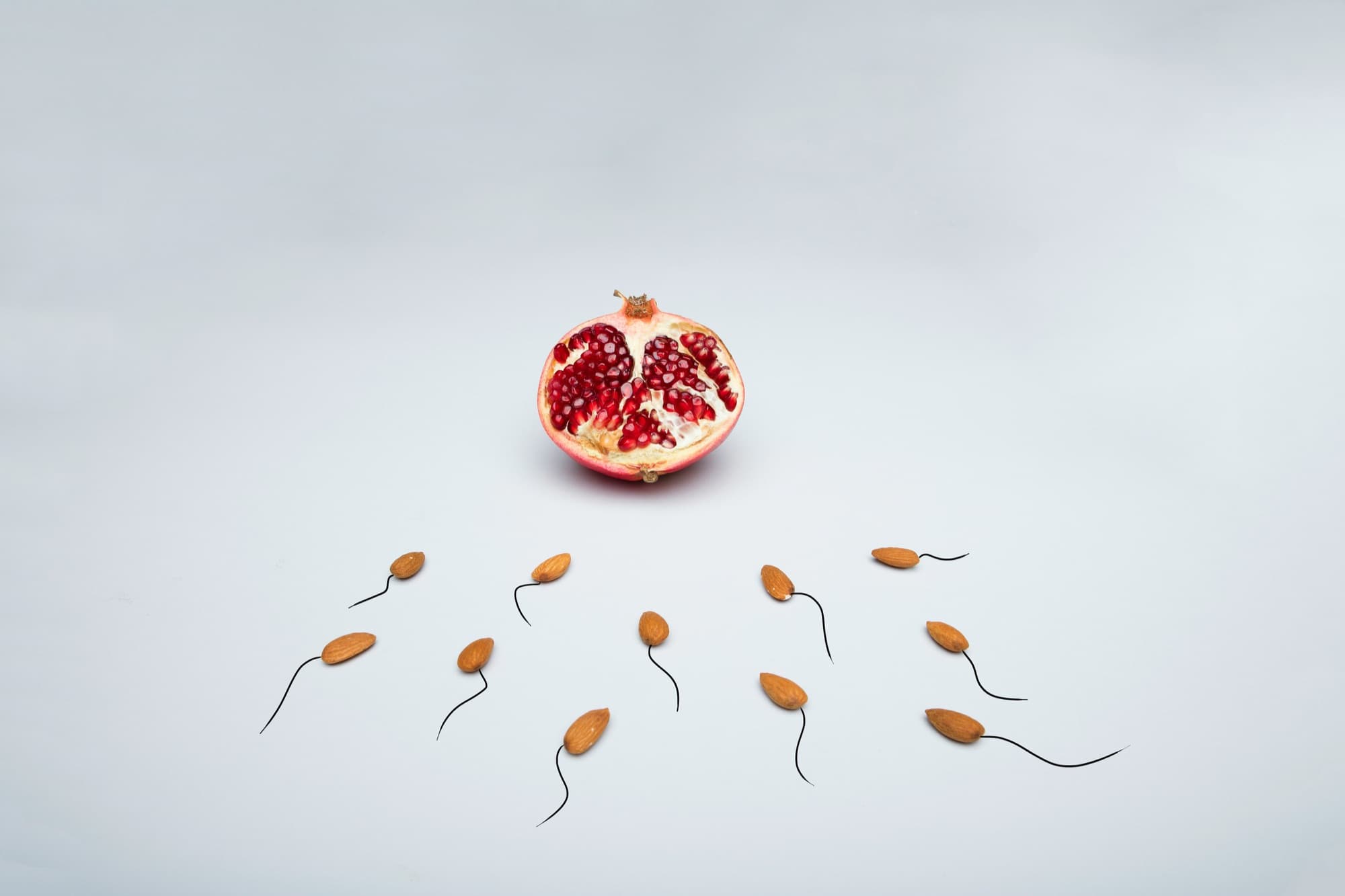 Pomegranate half with almonds arranged as sperm cells on a light background