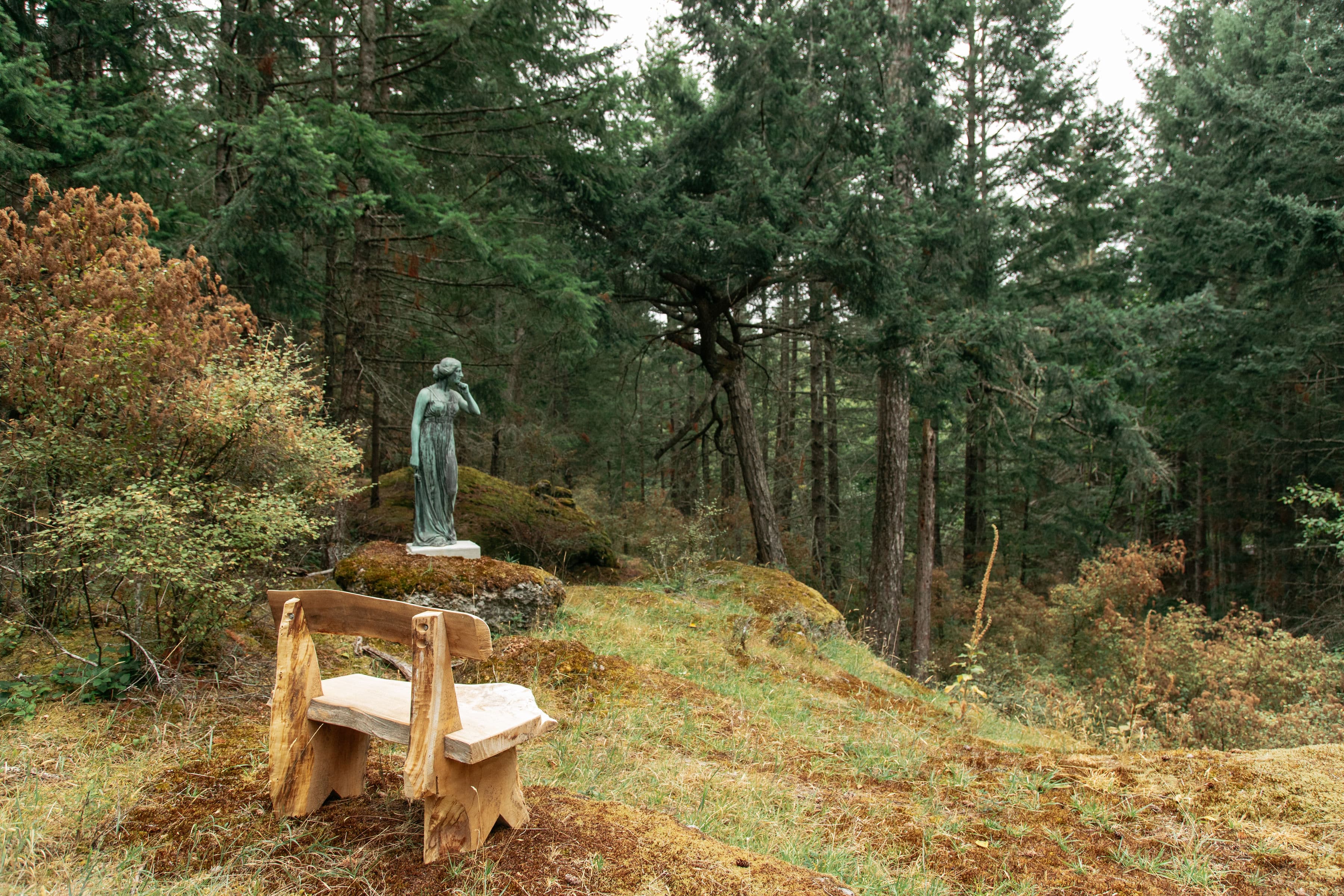 Wooden bench and statue in a peaceful forest setting on Salt Spring Island, where outdoor consultations take place