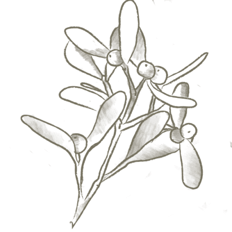 Bioidentical Hormones icon