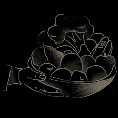 Bioidentical Hormones illustration