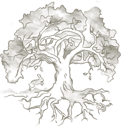 Targeted Supplementation icon