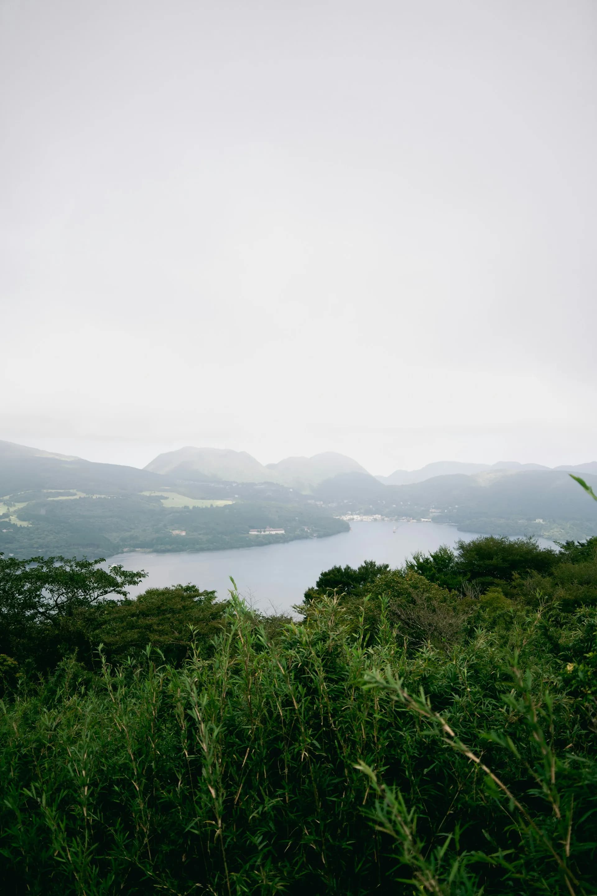 Misty mountains overlooking a serene lake surrounded by trees