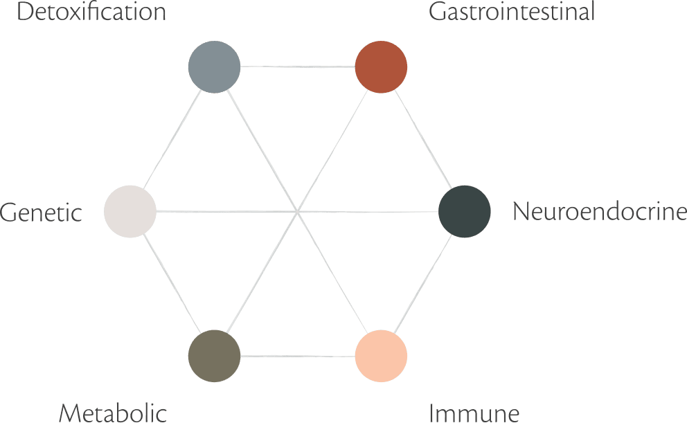 Interconnected health systems: Detoxification, Gastrointestinal, Neuroendocrine, Immune, Metabolic, and Genetic