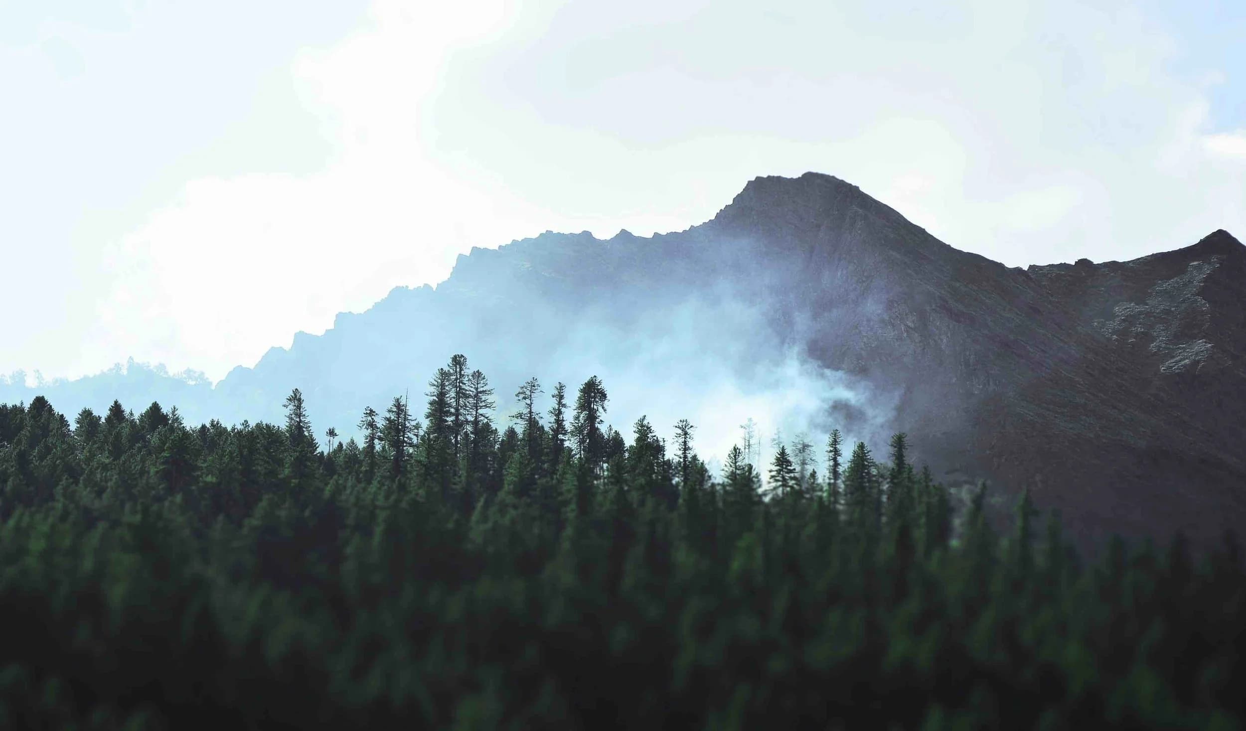 Mt. Maxwell landscape on Salt Spring Island